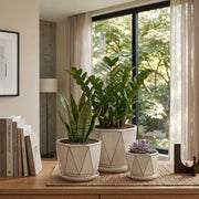 Three potted houseplants in cream-colored geometric ceramic planters sit on a woven placemat on a wooden table in a bright, modern room with a large window overlooking green trees.